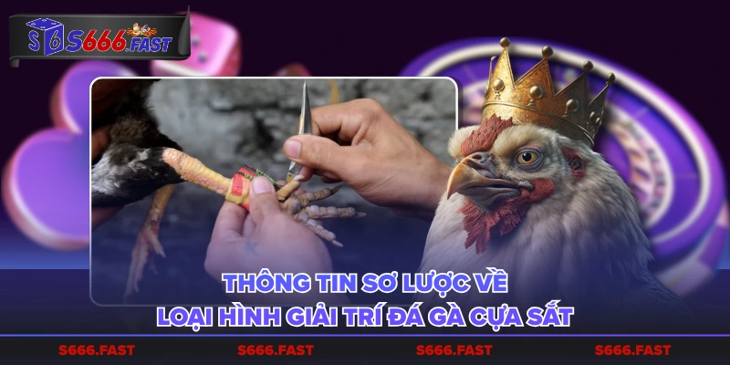 Tổng hợp thông tin về những hình thức đặt cược